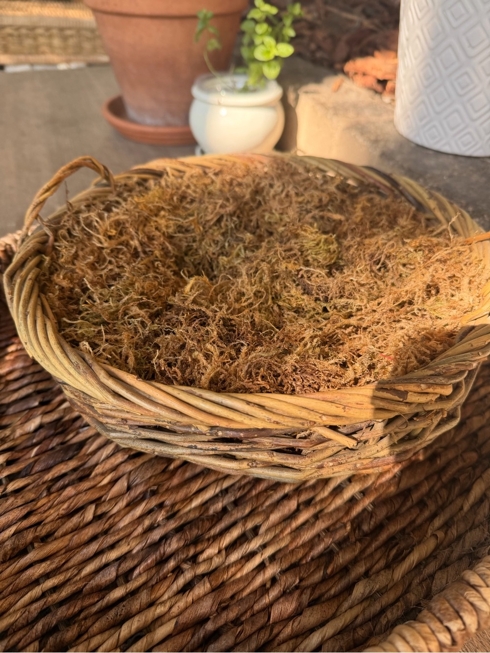 Handwoven Natural Rattan Basket - Natural Brown